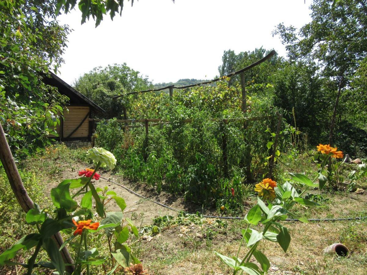 Beefree Villa Gorsko Slivovo Exterior photo